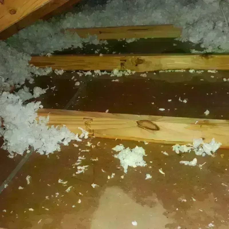 Attic Water Damage in San Pasqual, CA